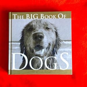 ☀️Dog book